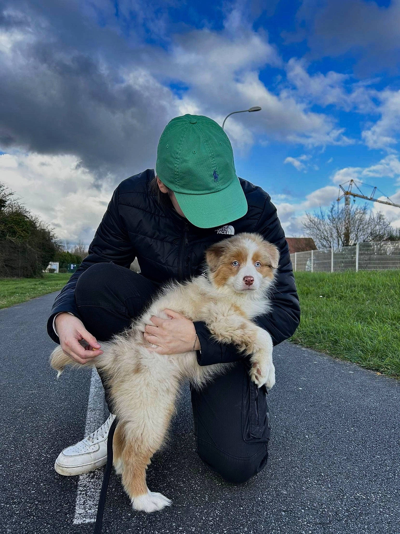 Shelby participe au concours pour gagner de l'argent avec cette photo : baseball_cap, canidae, cap, carnivore, cloud, companion_dog, dog, dog_breed, dog_walking, fawn, fur, grass, hat, lap, leisure, plant, sky, sporting_group, tree, walking