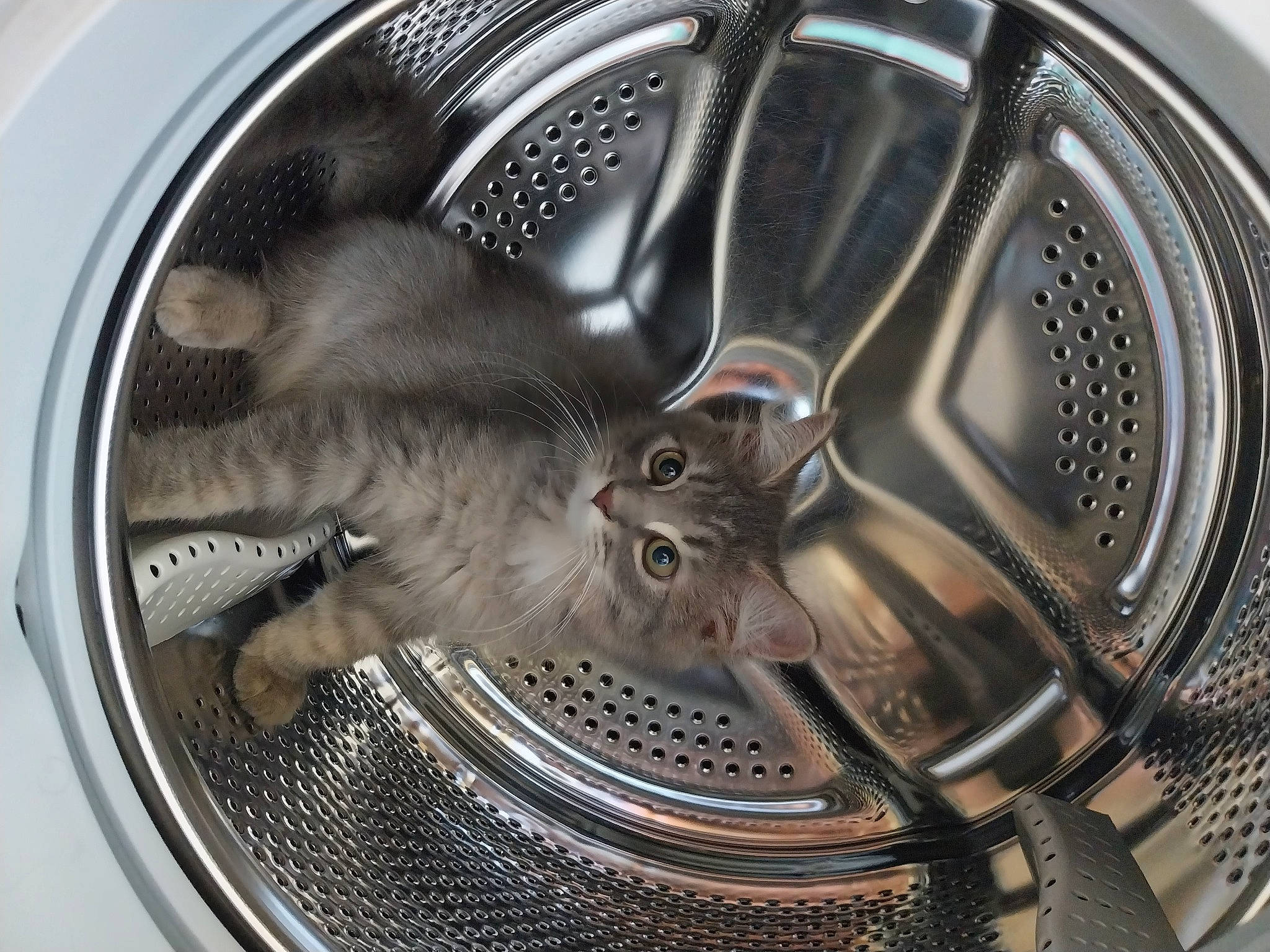 Umber participe au concours pour gagner de l'argent avec cette photo : alloy_wheel, automotive_design, automotive_exterior, automotive_lighting, automotive_tire, car, grey, grille, headlamp, hood, hubcap, land_vehicle, light, motor_vehicle, personal_luxury_car, tire, tread, vehicle, wheel, white