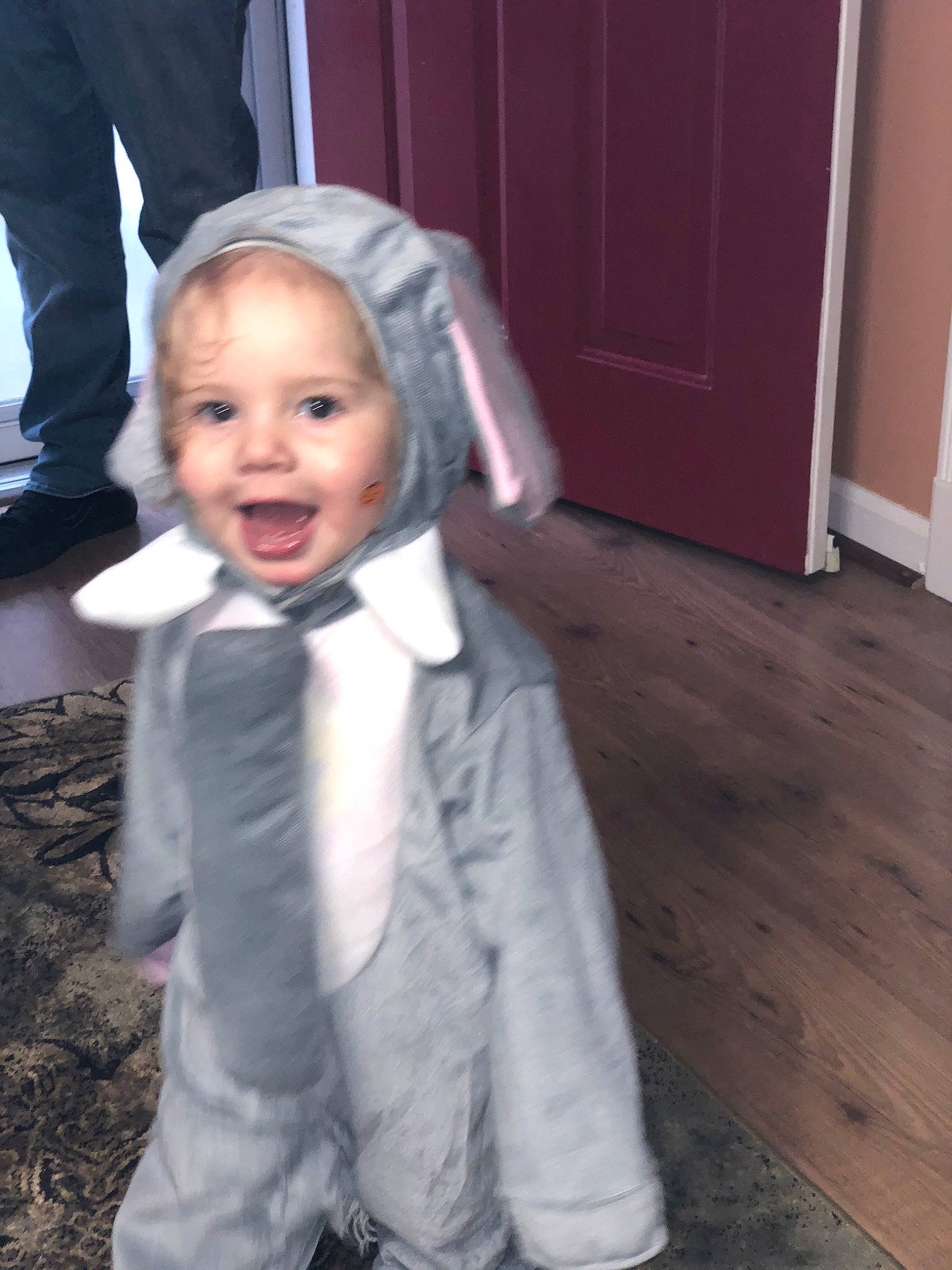 Ally is registered to the contest to win money with this photo: child, formal_wear, outerwear, person, toddler