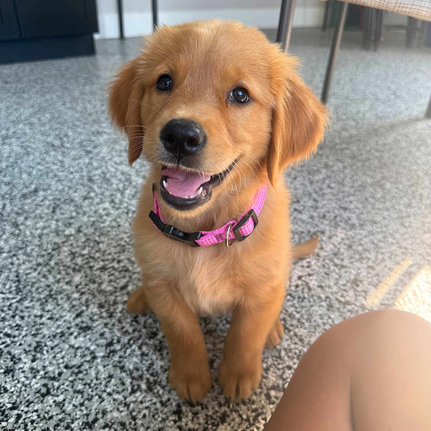 Winnie