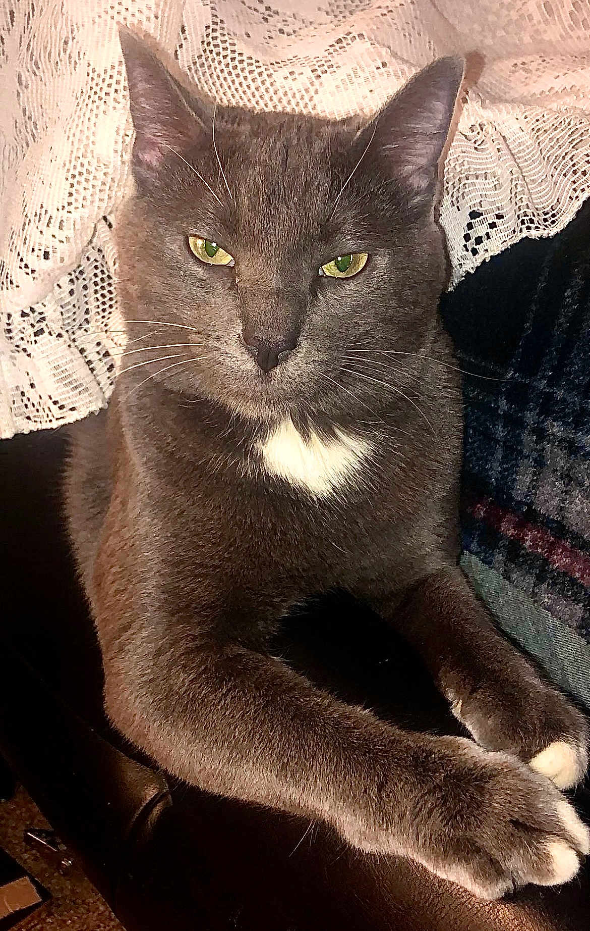 Bubba