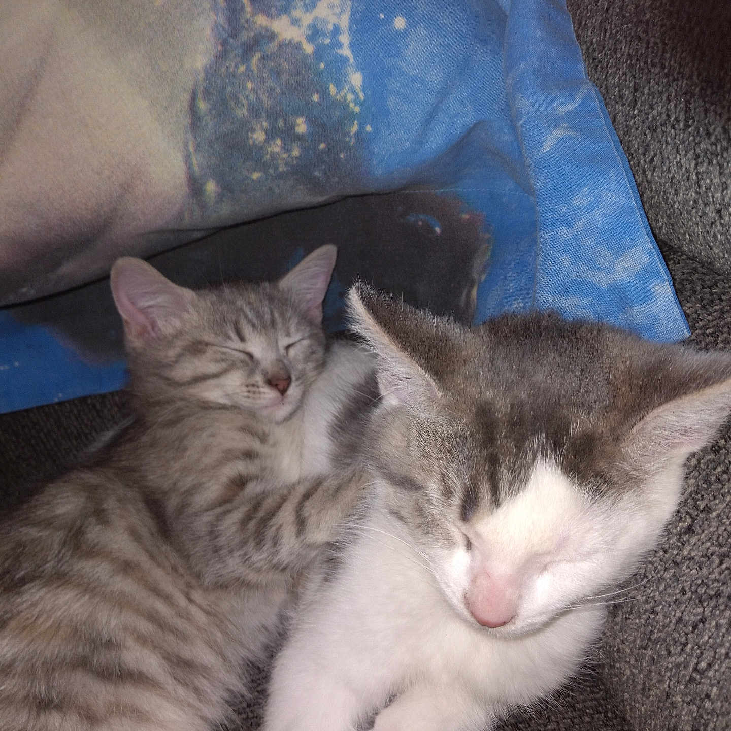 Minnie And Mickey
