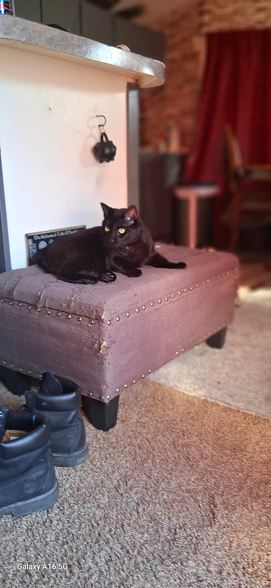 Papa Spaz is registered to the contest to win money with this photo: black_cat, cat, ottoman, boots, carpet, indoor, furniture, blurred_background, curtains, cozy, pet, animal, resting, studs, floor, home, domestic, yellow_eyes, quiet, relaxed