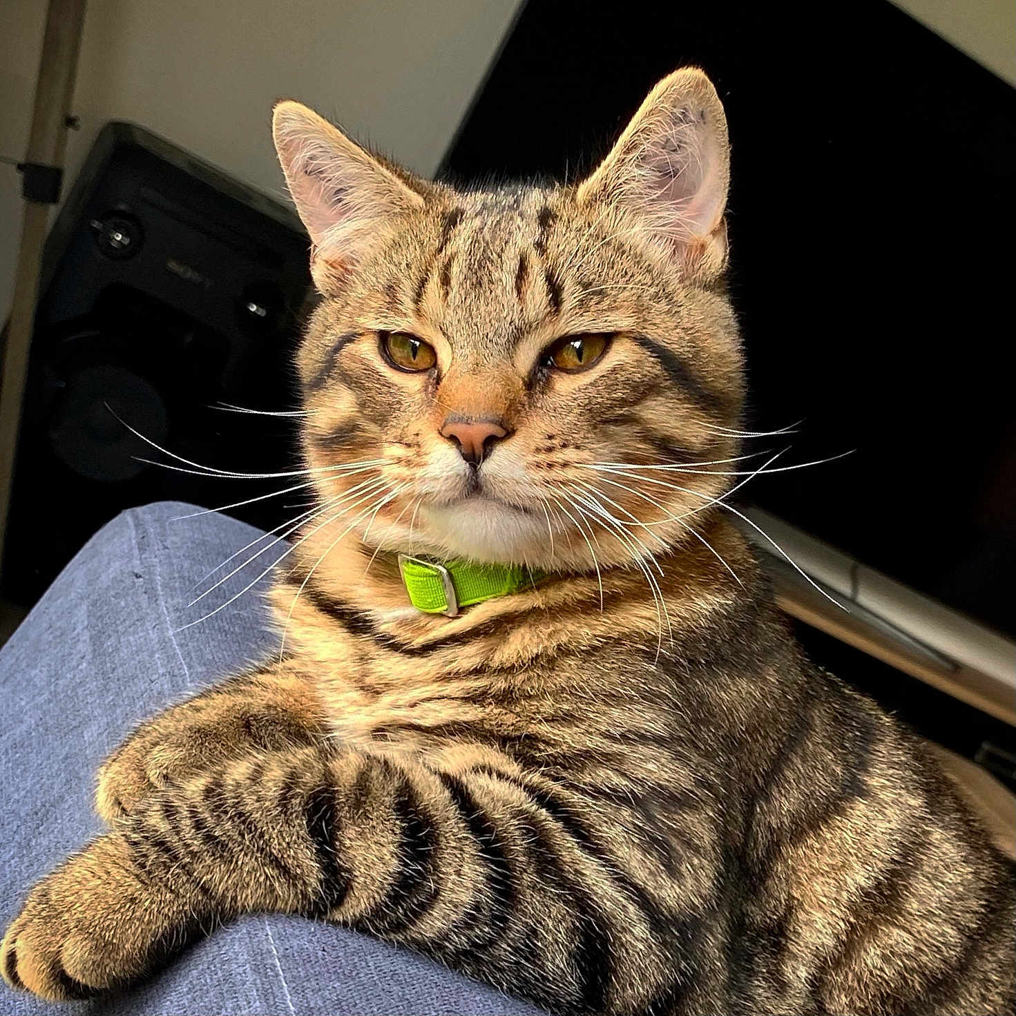 Oliver