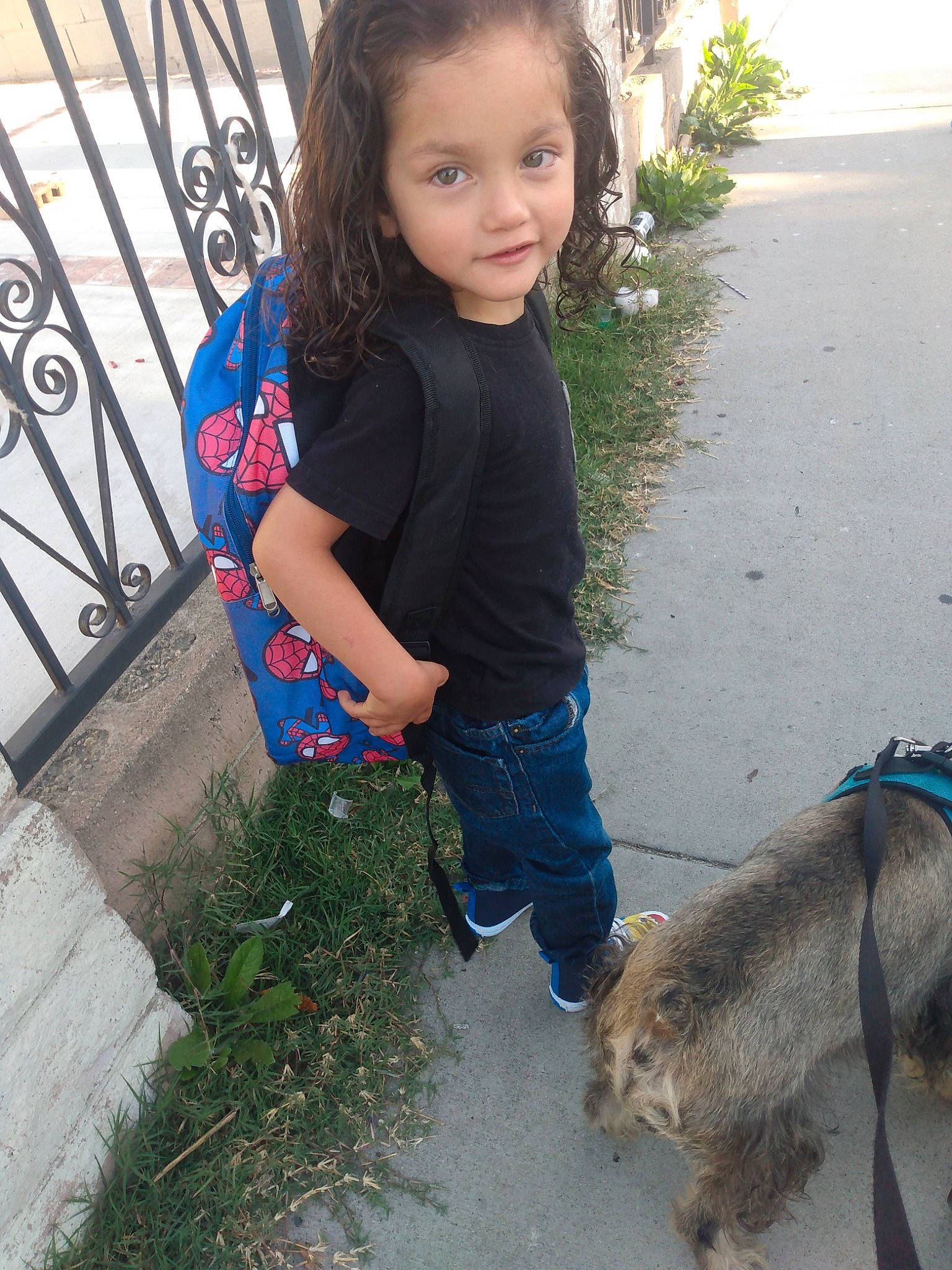 Tomas is registered to the contest to win money with this photo: carnivore, child, companion_dog, denim, dog_breed, electric_blue, eye, face, fawn, fence, fur, grass, hair, head, leash, pattern, person, plant, sporting_group, toddler