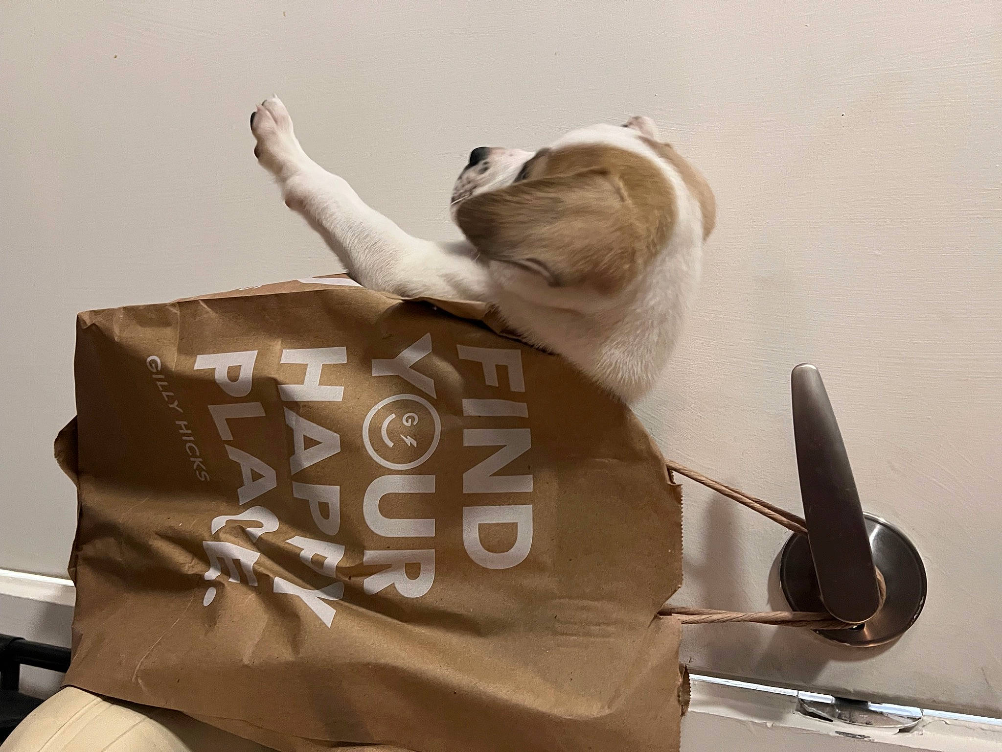 Bamboo is registered to the contest to win money with this photo: arm, chair, comfort, elbow, eyewear, fashion_accessory, font, gesture, hat, human_leg, knee, personal_protective_equipment, room, shoulder, sitting, sleeve, t_shirt, waist, wood, wrist