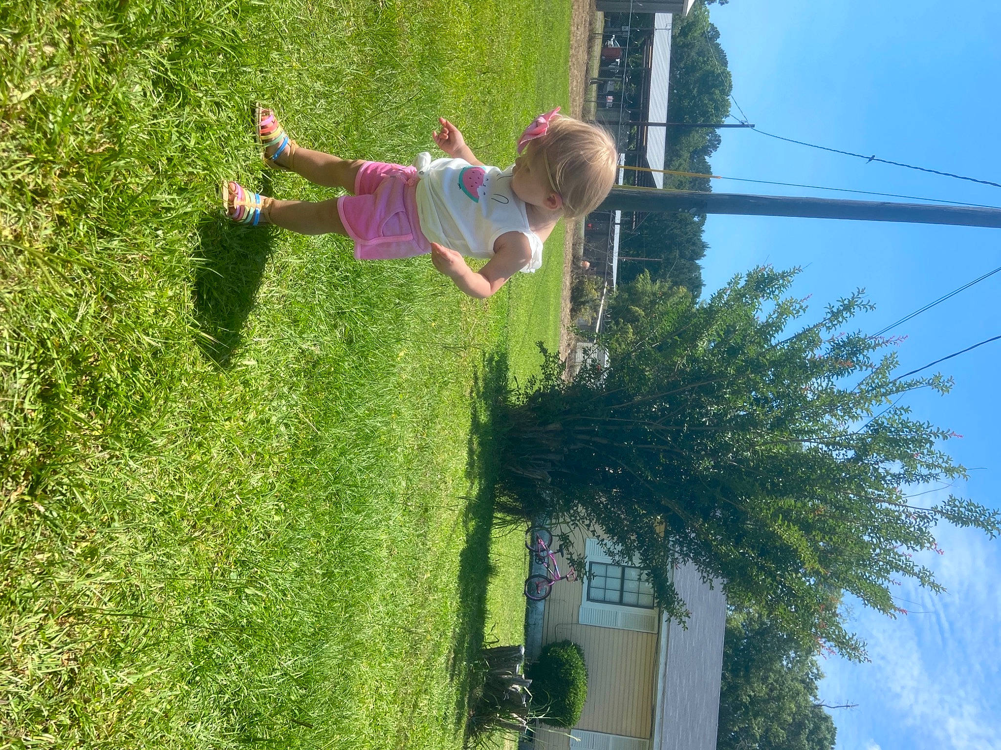 Marianna joined the competition — help win amazing prizes! electrical_supply, electricity, fun, grass, grass_family, green, happy, landscape, leisure, light, people_in_nature, person, plant, pole, public_utility, recreation, shrub, sky, toddler, tree