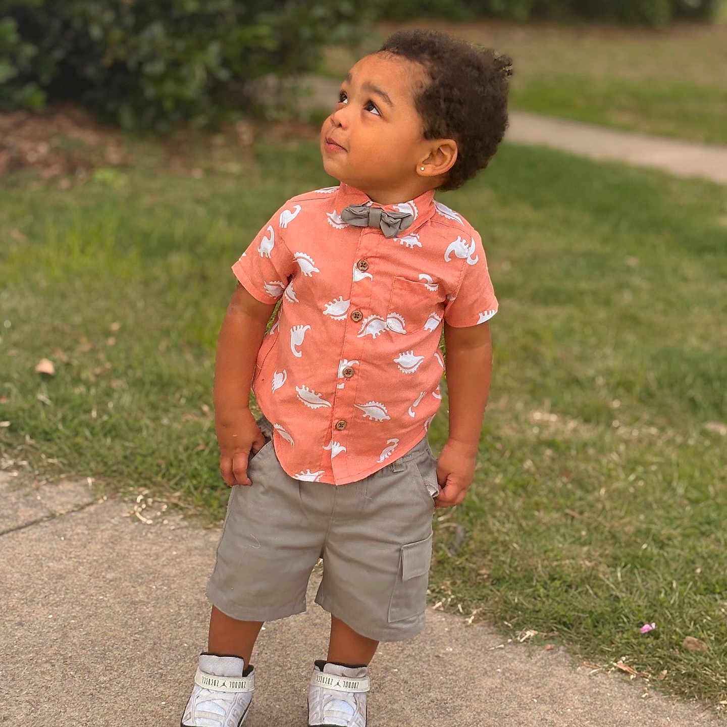 Zyire joined the competition — help win amazing prizes! bow_tie, boy, casual_clothing, child, curious, cute, daylight, dinosaur_print, grass, greenery, nature, outdoor, portrait, shirt, shorts, sidewalk, sneakers, standing, toddler, young_child