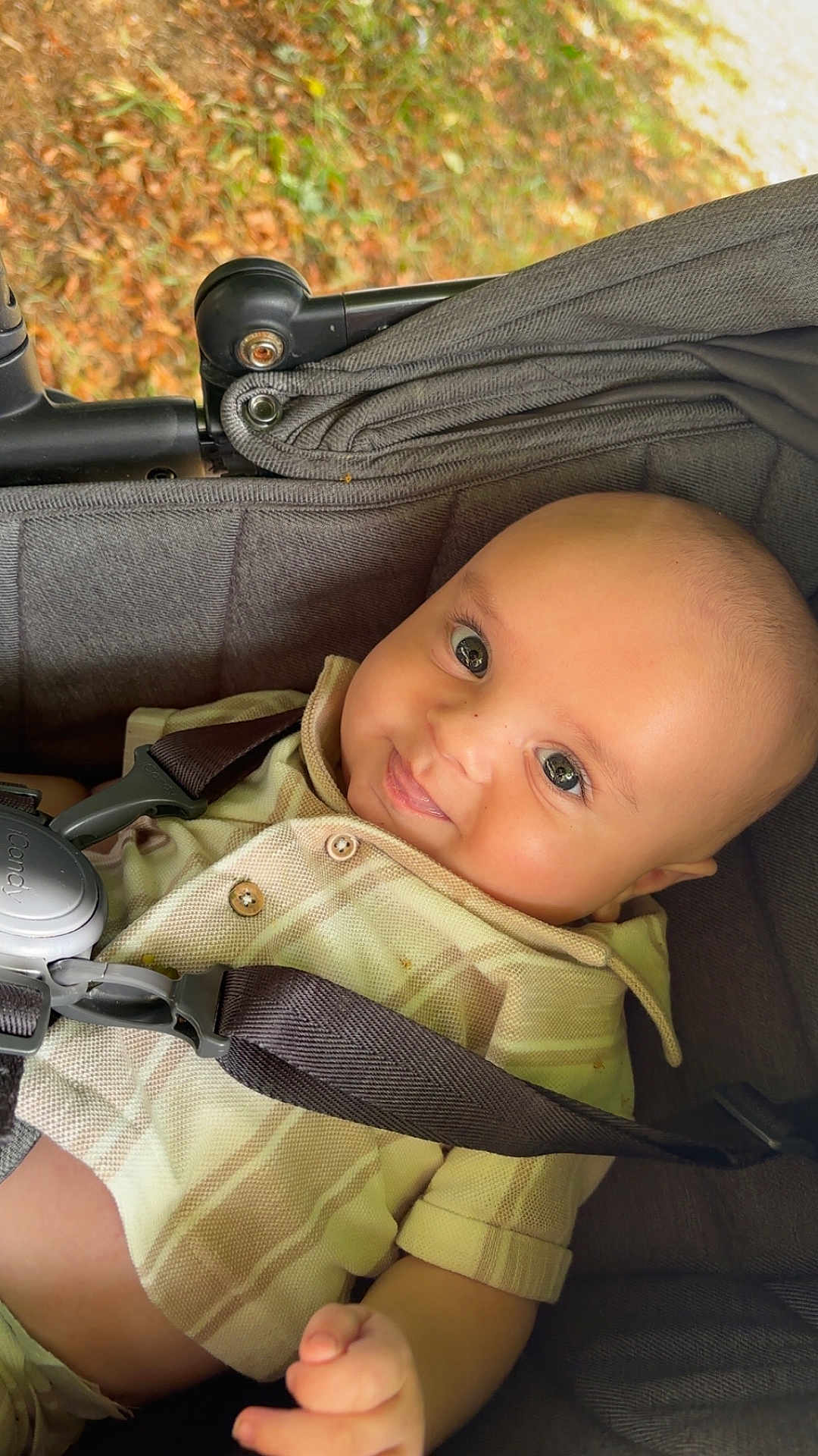 Romeo joined the competition — help win amazing prizes! baby, smiling, stroller, child, infant, plaid_shirt, straps, outdoor, autumn, leaves, cute, face, portrait, closeup, happy, person, seat, baby_clothes, skin, head