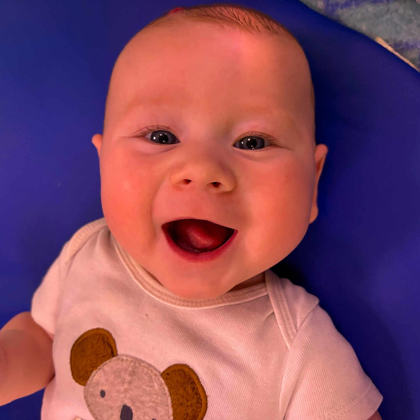 Colby joined the competition — help win amazing prizes! baby, babylaughing, face, happy, head, laughing, person, photography, portrait, smile