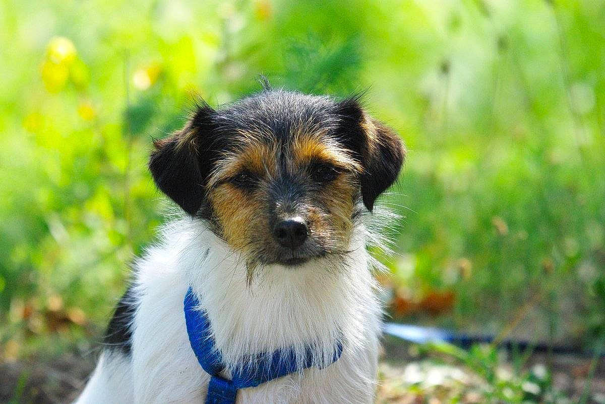 Chloé