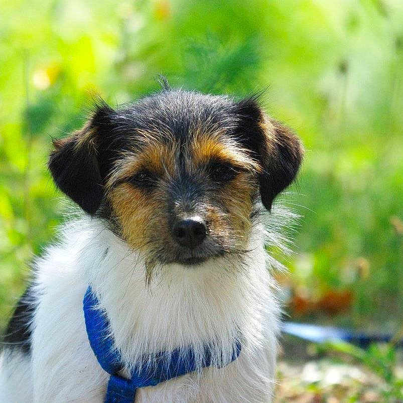 Chloé