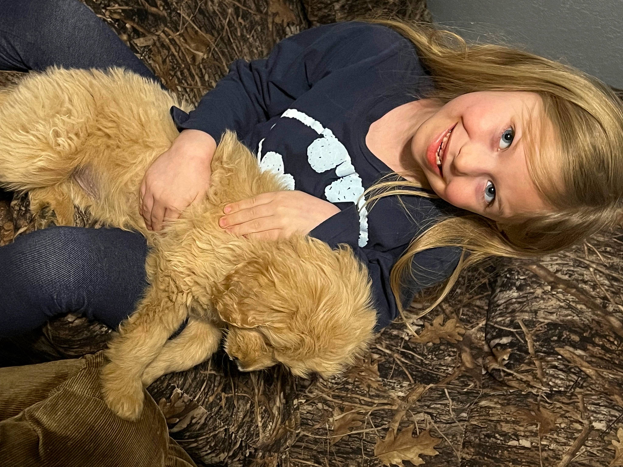 Leora is registered to the contest to win money with this photo: brown_hair, carnivore, companion_dog, dog, dog_breed, eye, face, fawn, flash_photography, fur, grass, hair, happy, joy, people_in_nature, person, sitting, smile, toy, toy_dog