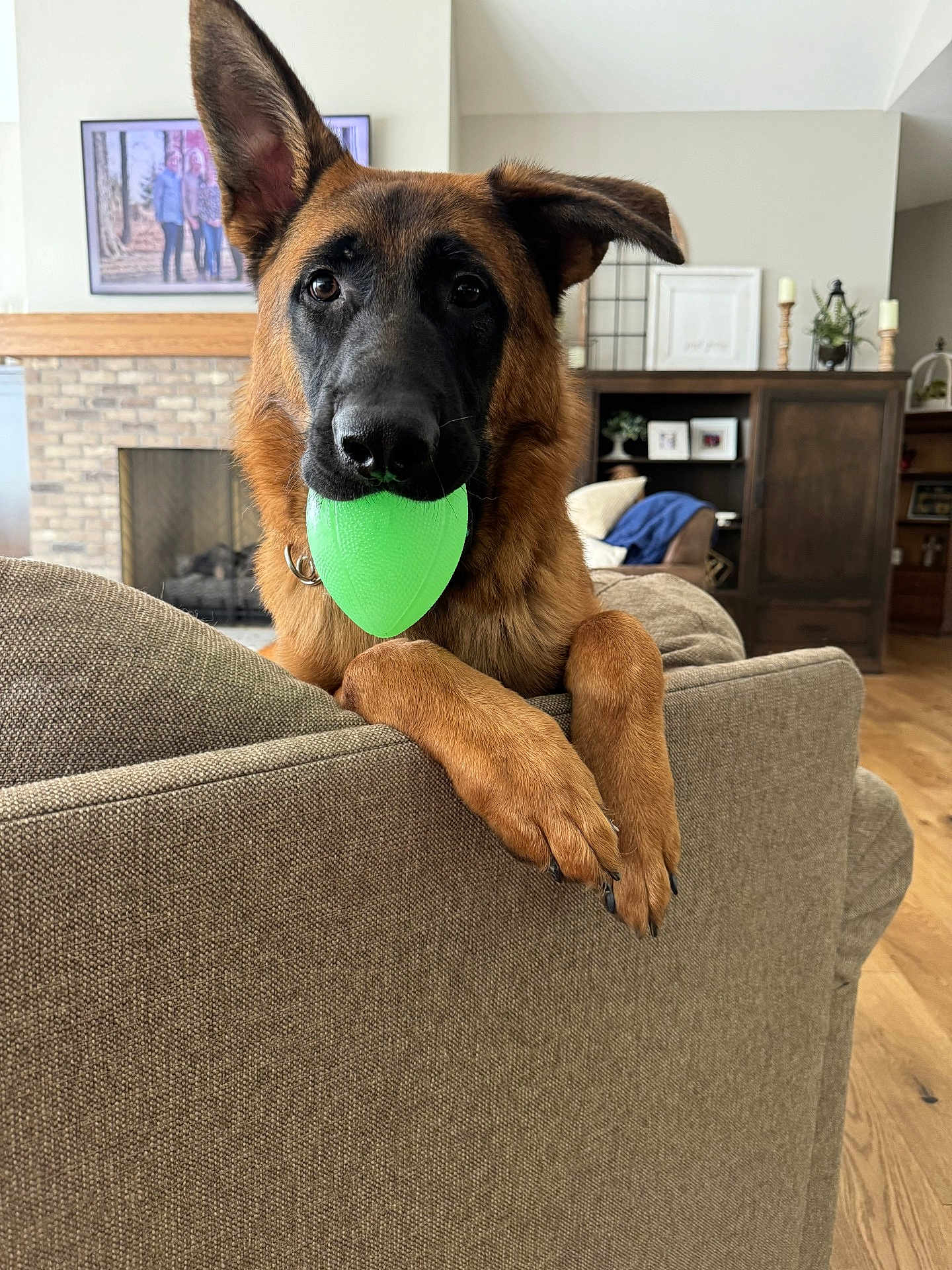 Gus