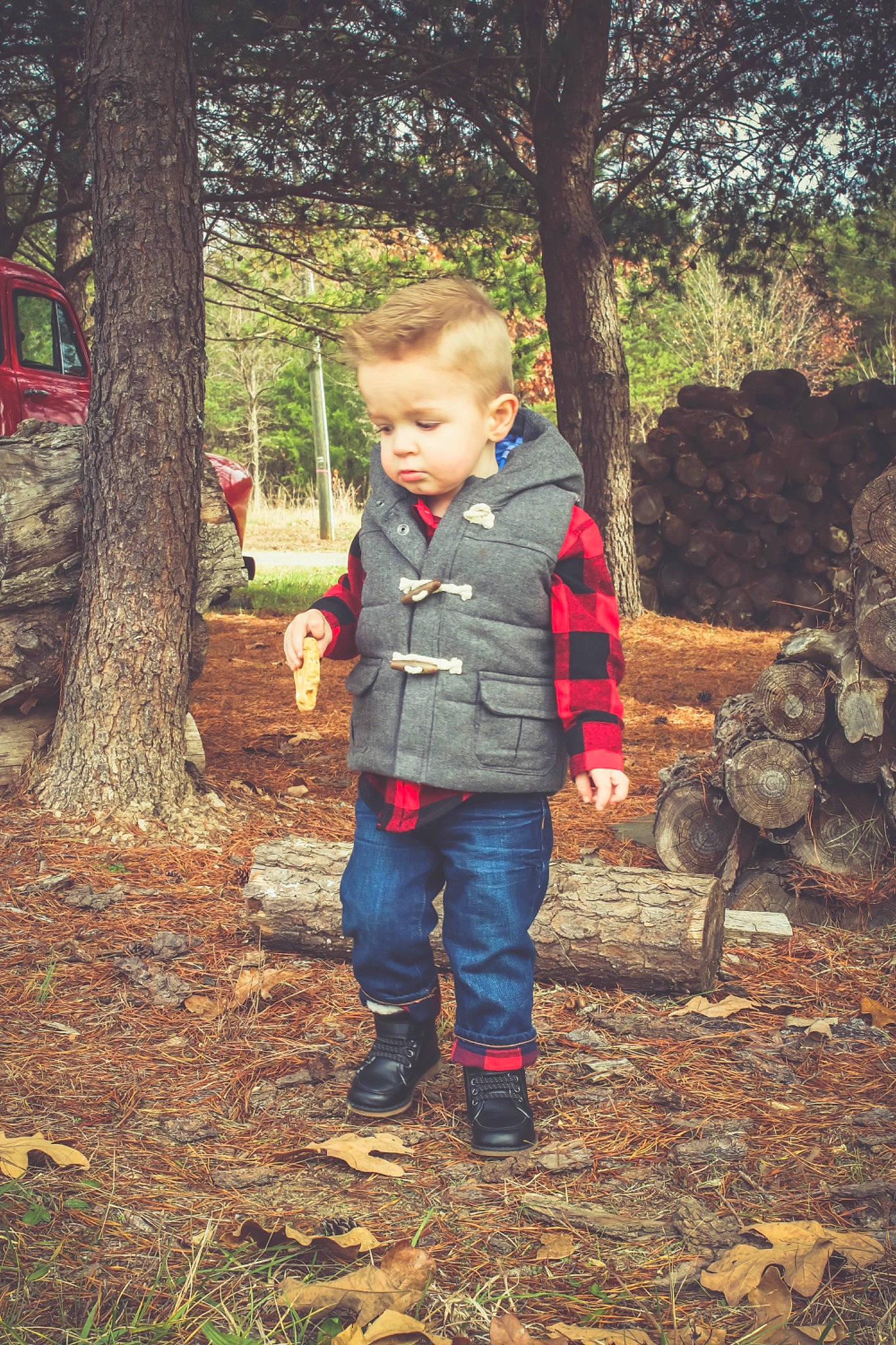 Oliver is registered to the contest to win money with this photo: autumn, child, family, fun, jacket, leaf, outerwear, people, person, photograph, photography, plant, play, red, soil, standing, toddler, tree, vacation, wood