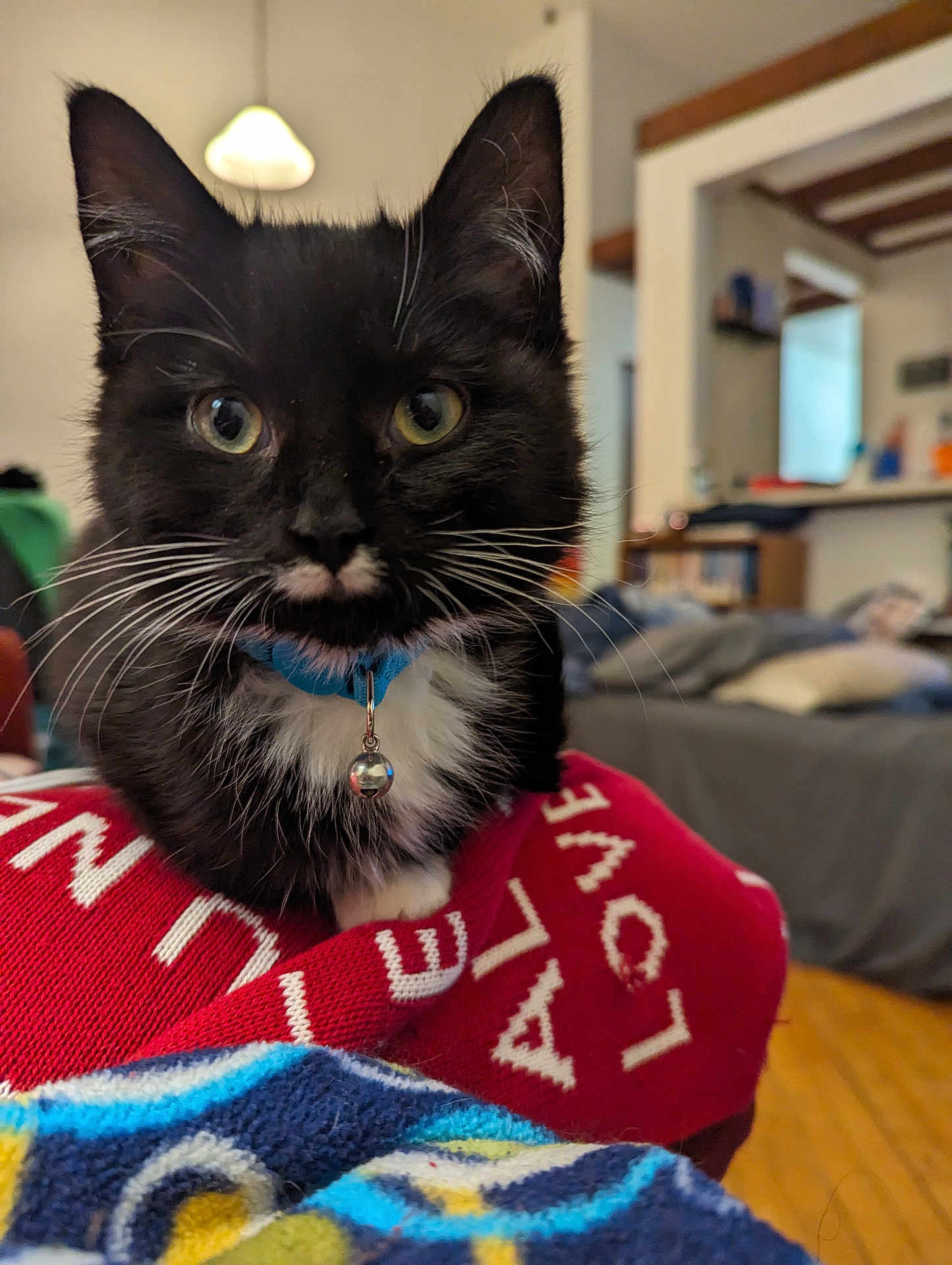 Gus