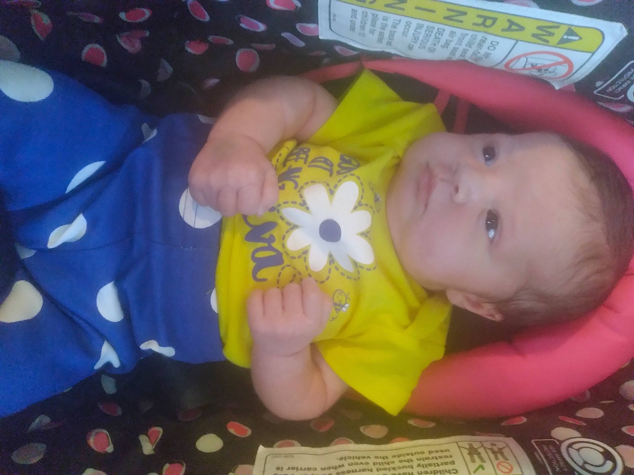 Abriella joined the competition — help win amazing prizes! baby, baby_products, baby_toddler_clothing, baby_toys, cheek, child, finger, fun, gesture, hand, happy, iris, nail, pattern, person, petal, play, room, textile, thumb