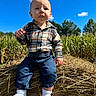 baby, child, toddler, portrait, sitting, outdoor, hay, hayfield, cornfield, farmland, blue_sky, clouds, plaid_shirt, jeans, socks, infant, serious_expression, sunlight, nature, rural