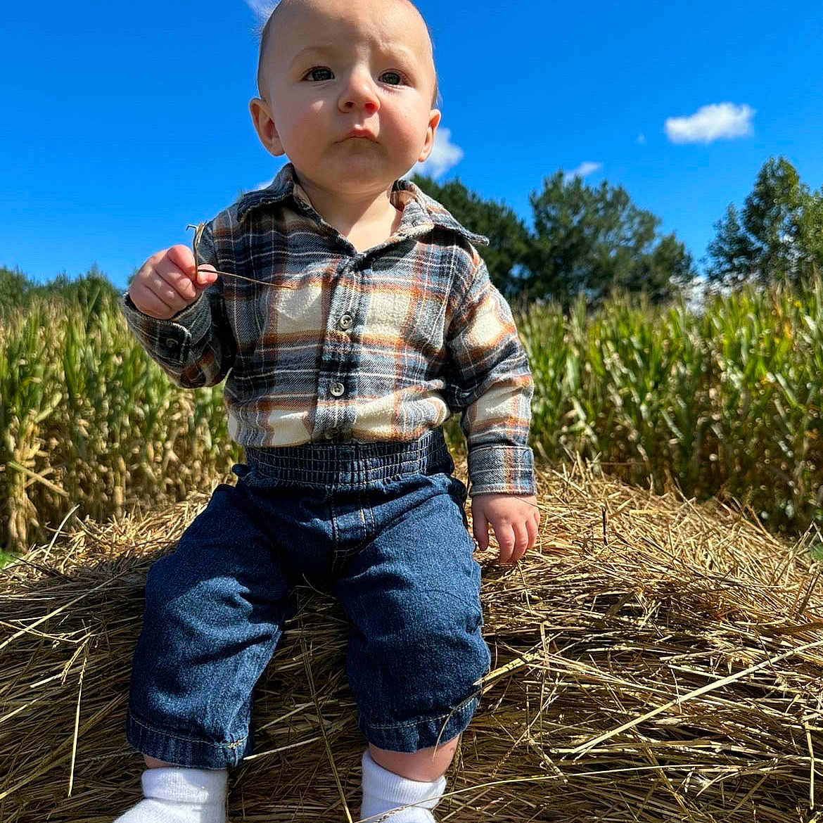 Nolan
