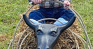 Nolan is registered to the contest to win money with this photo: baby, child, infant, smiling, outdoor, grass, hay_bale, rope, bull_head, cowboy_theme, playground, farm, portrait, sitting, blue_jeans, plaid_shirt, toy, rural, daylight, happy
