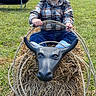 baby, child, infant, smiling, outdoor, grass, hay_bale, rope, bull_head, cowboy_theme, playground, farm, portrait, sitting, blue_jeans, plaid_shirt, toy, rural, daylight, happy