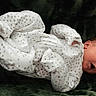 newborn, baby, infant, sleeping, yawning, onesie, star_pattern, white_clothing, curled_up, portrait, face, eyes_closed, mouth_open, indoor, blanket, soft_surface, dark_background, cozy, child, photography