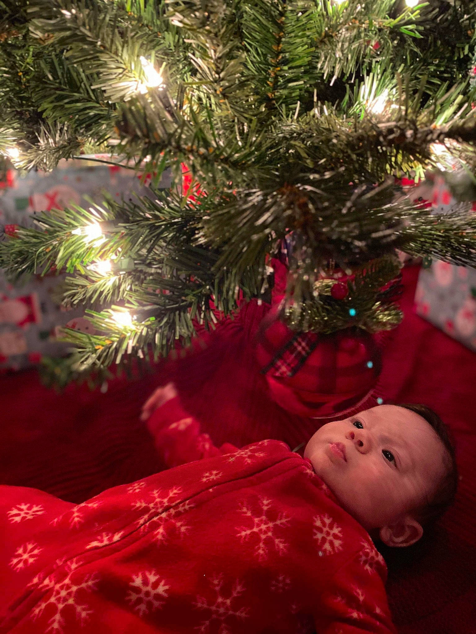Caroline joined the competition — help win amazing prizes! christmas, christmas_decoration, christmas_eve, christmas_lights, christmas_ornament, christmas_tree, conifer, event, fir, holiday, holiday_ornament, interior_design, person, pine, pine_family, plant, spruce, toddler, tradition, tree