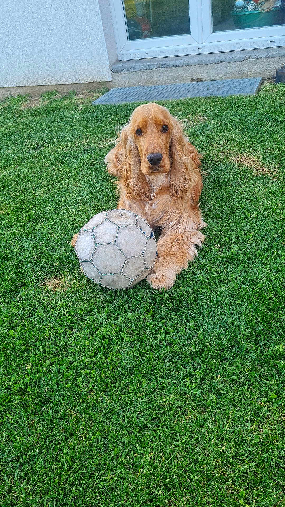 Milo