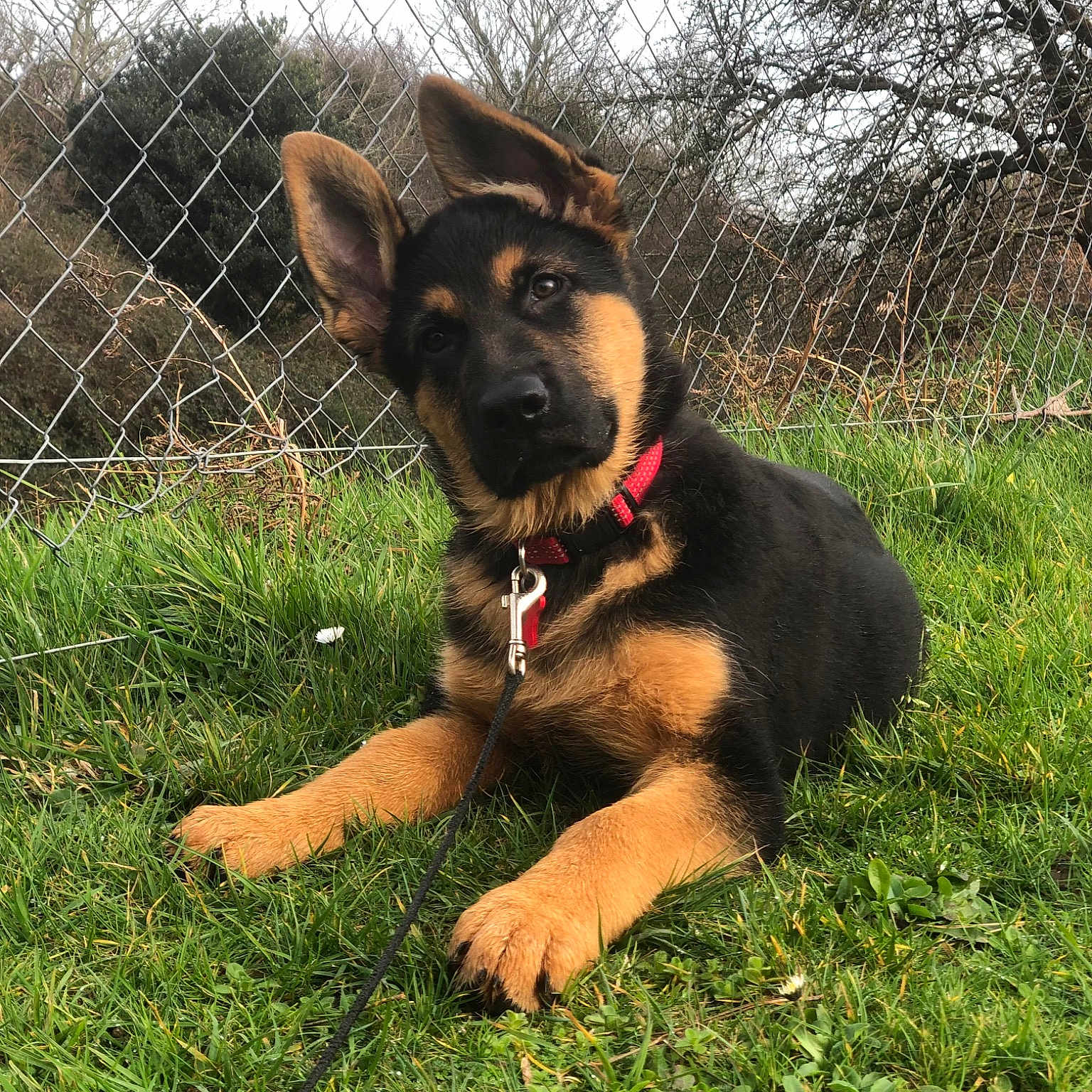 Stan