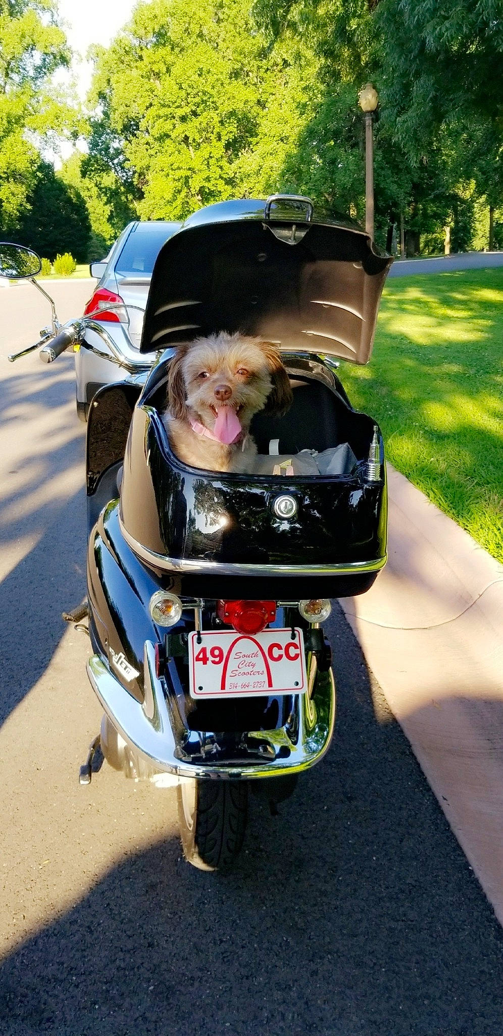 Mamas is registered to the contest to win money with this photo: car, mode_of_transport, motor_vehicle, product, scooter, vehicle