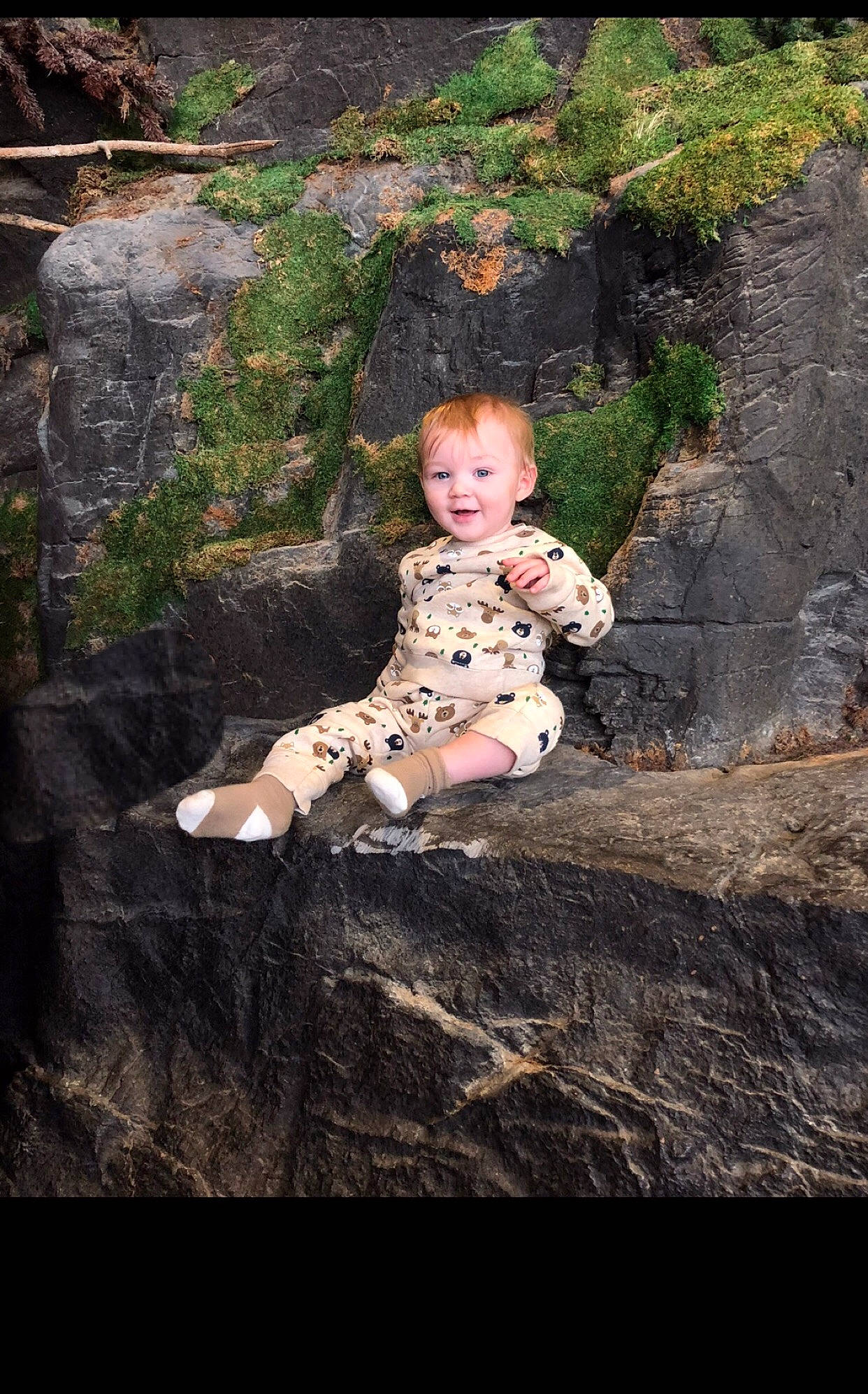 Adrian joined the competition — help win amazing prizes! child, fawn, person, photography, rock, sitting, toddler, tree