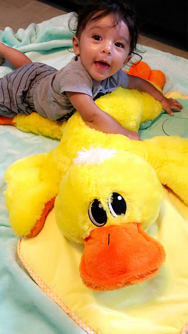 Dominic joined the competition — help win amazing prizes! baby, baby_products, baby_toys, child, person, play, plush, skin, stuffed_toy, teddy_bear, textile, toddler, toy, yellow