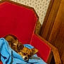 dog, small_dog, sleeping, blanket, red_chair, vintage_furniture, indoor, cozy, wood_paneling, wallpaper, resting, pet, fur, cute, calm, relaxation, animal, home, comfort, nap