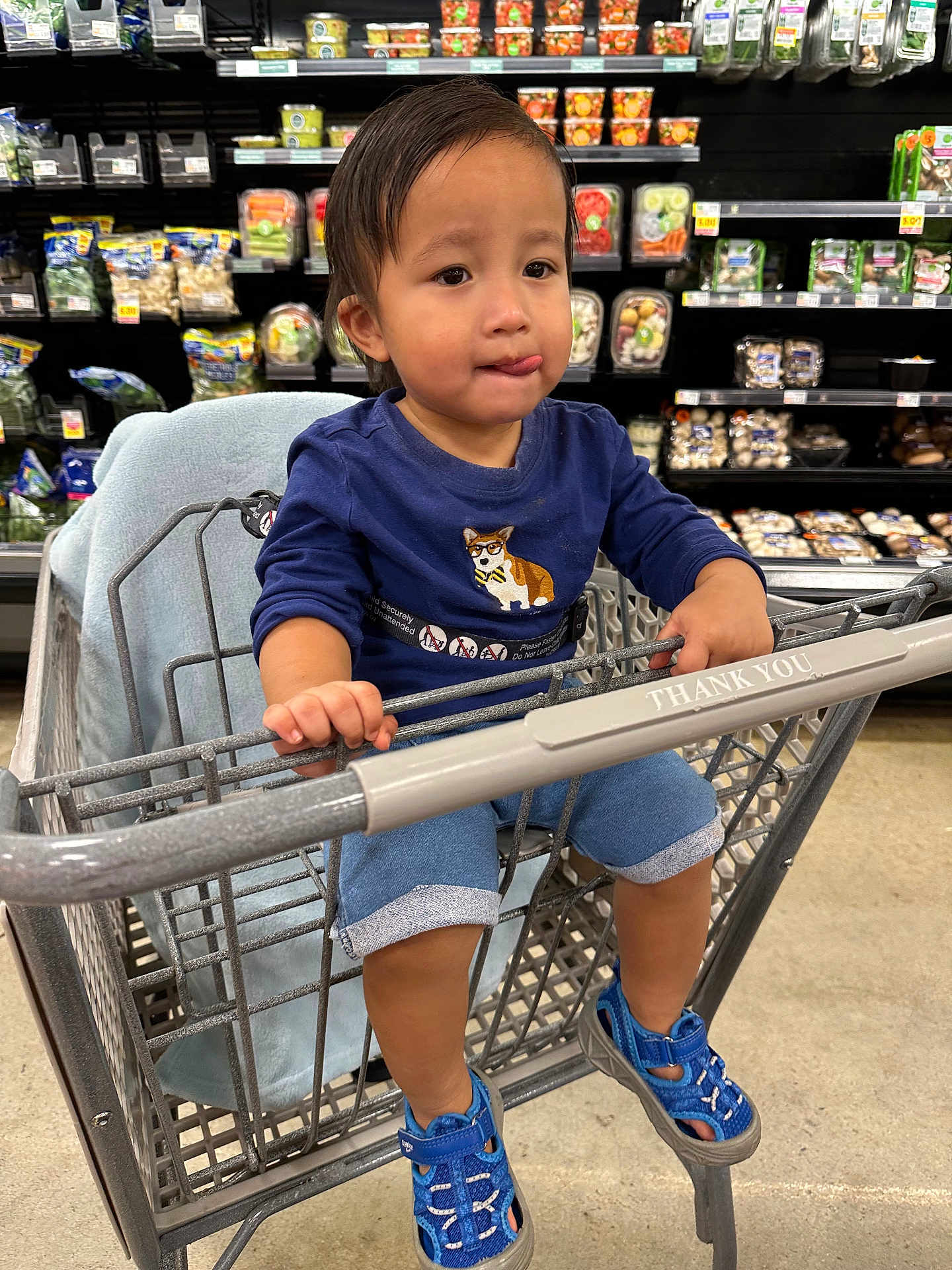 Asher joined the competition — help win amazing prizes! toddler, child, shopping_cart, blue_shirt, blue_sandals, grocery_store, produce, vegetables, shelves, floor, person, cute, indoor, holding_cart, shorts, expression, face, hair, seat, casual_clothing
