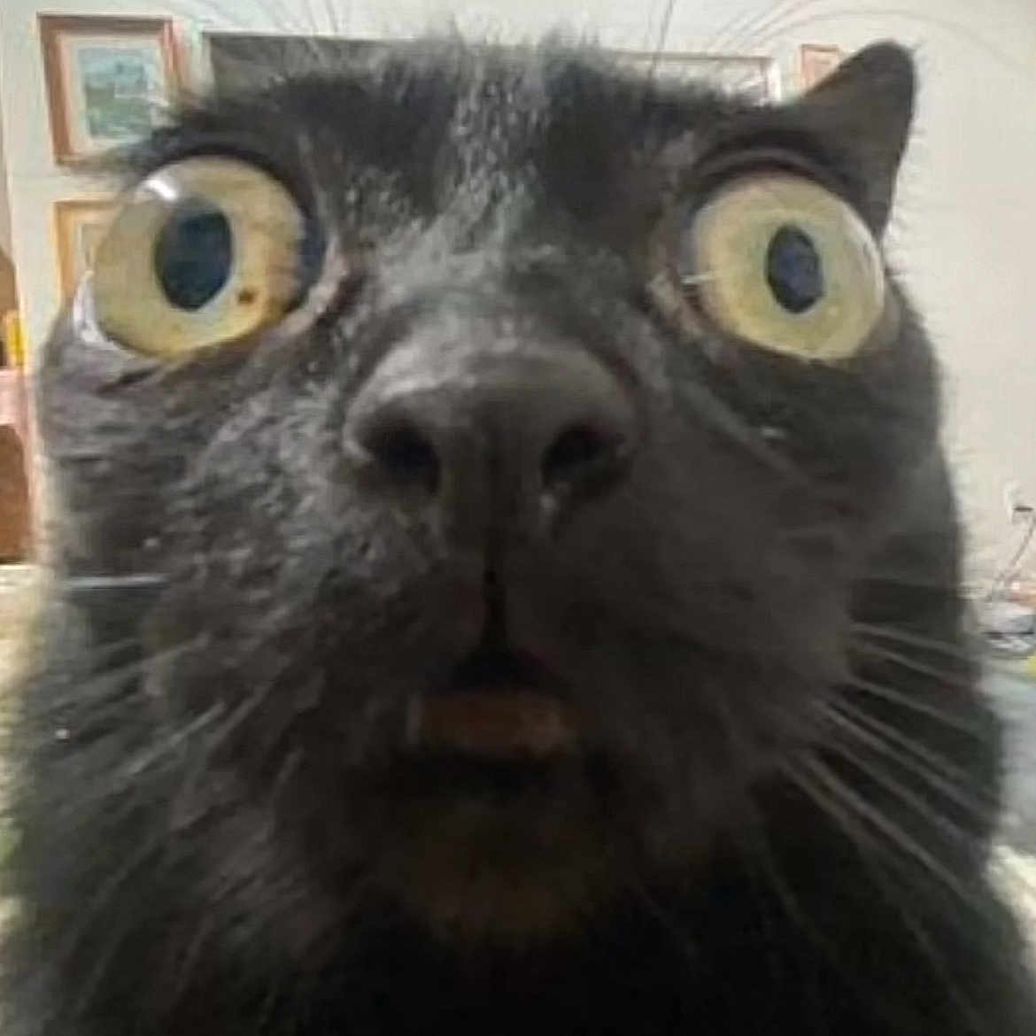 Tung Tung Tung Sahur