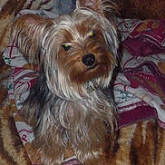 Kity a rejoint le concours — aidez-le/la à gagner de superbes lots !