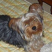 Kity participe au concours pour gagner de l'argent avec cette photo :