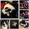 cat, cats, black_and_white, tuxedo_cat, feline, pet, animal, whiskers, close_up, portrait, sleeping, lying_down, sitting, upside_down, relaxed, indoor, collage, fur, green_eyes, mustache