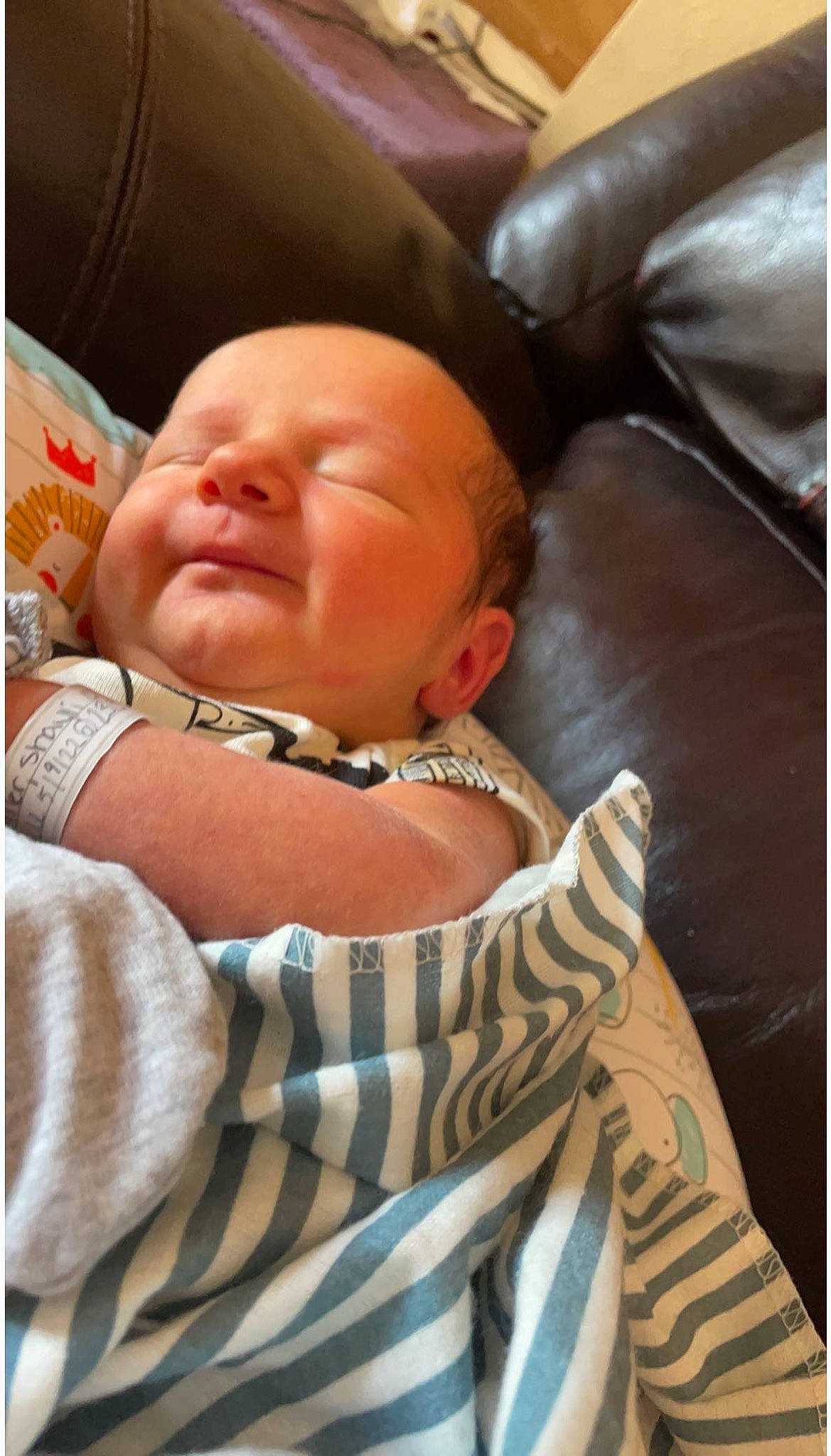 Badger joined the competition — help win amazing prizes! baby, baby_toddler_clothing, bedtime, cheek, child, comfort, couch, eye, fun, happy, linens, nap, neck, pattern, person, room, sitting, sleeve, textile, toddler