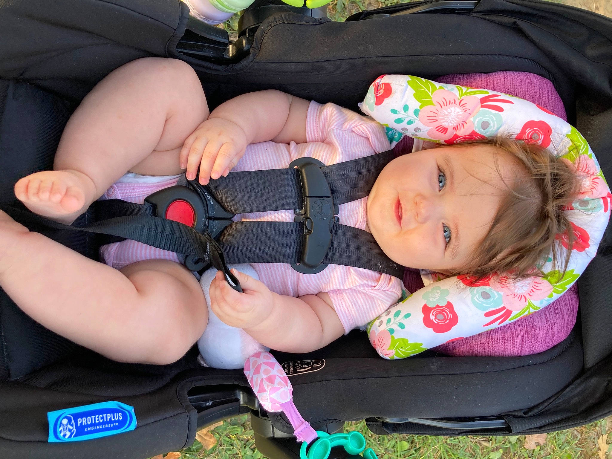 Juniper is registered to the contest to win money with this photo: baby, baby_carriage, baby_products, baby_toddler_clothing, car_seat, child, comfort, grass, lap, nail, person, product, sitting, thigh, thumb, toddler, wrist