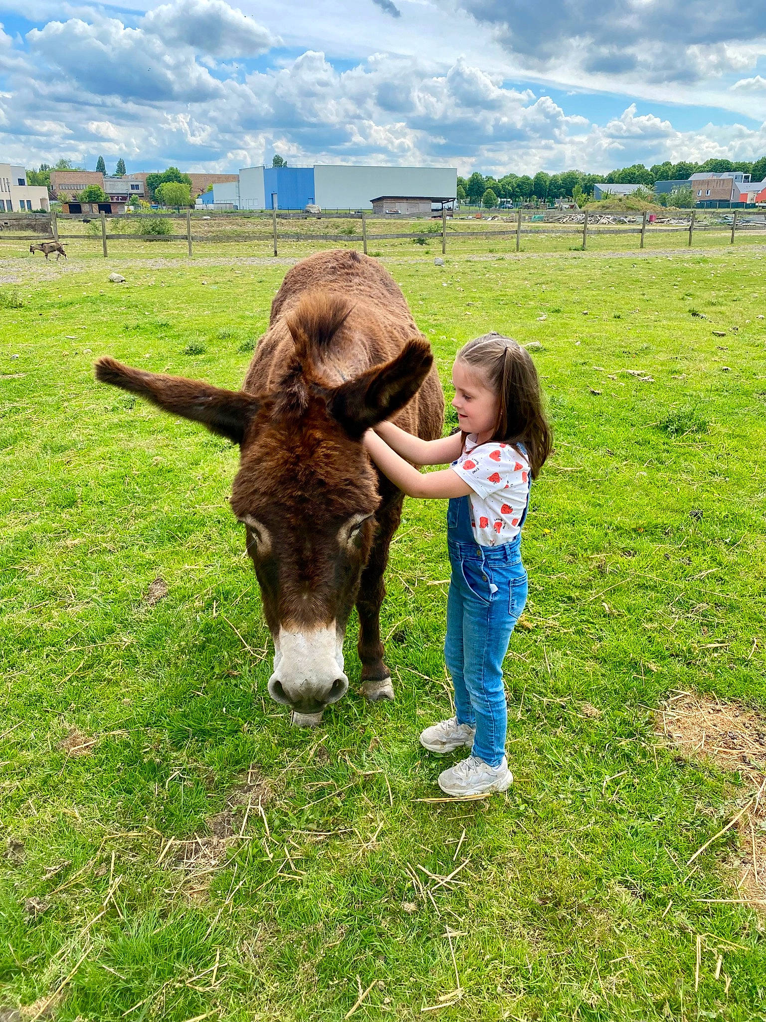 Myla a rejoint le concours — aidez-le/la à gagner de superbes lots ! cloud, fawn, field, fun, grass, grass_family, grassland, grazing, happy, landscape, mammal, meadow, people_in_nature, person, plant, prairie, sky, toddler, tree, vertebrate