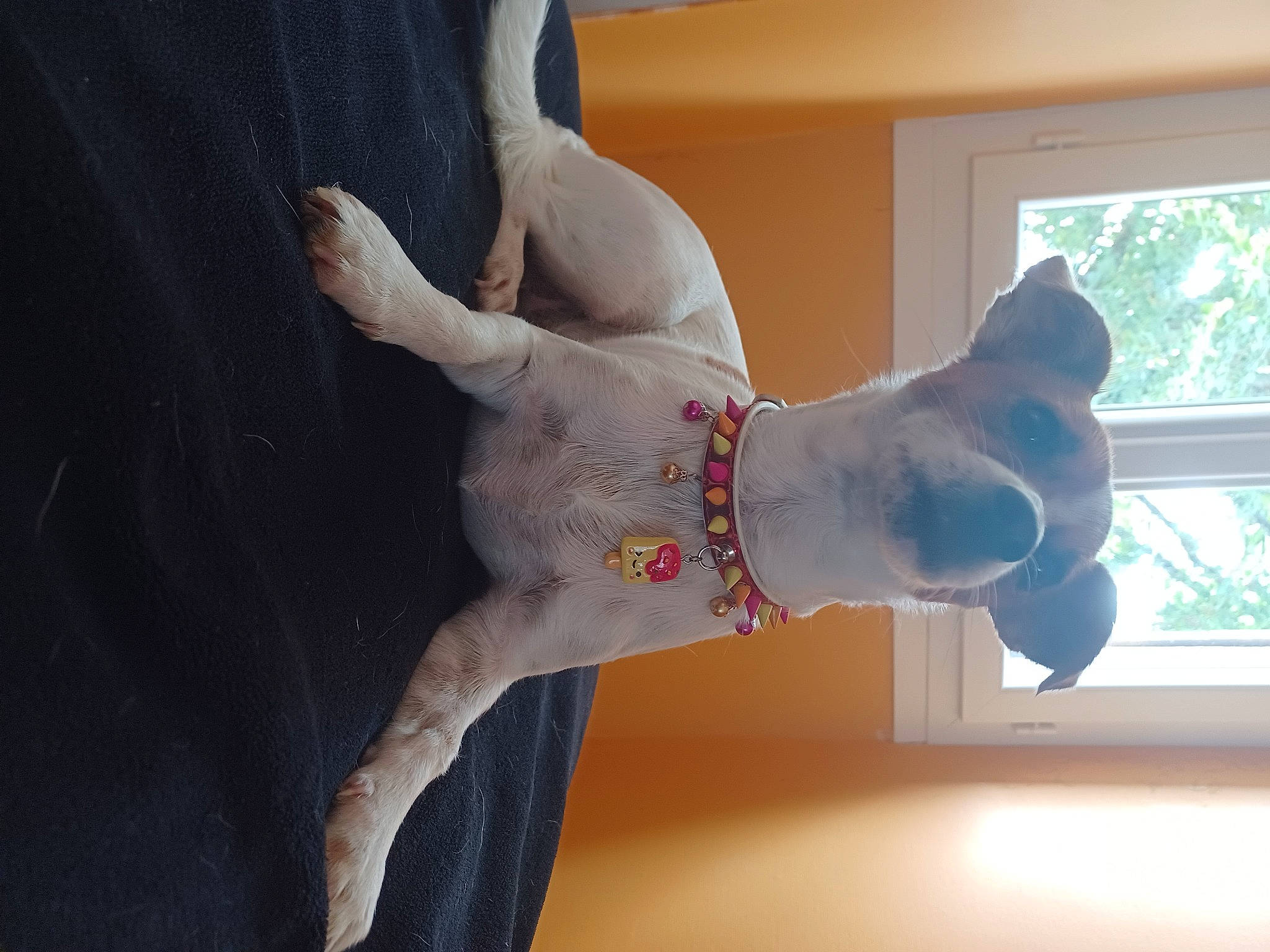 Papaye a rejoint le concours — aidez-le/la à gagner de superbes lots ! abdomen, art, elbow, event, finger, flesh, gesture, hand, human_leg, knee, tail, thumb, tree, trunk, waist, window, wood, wrist