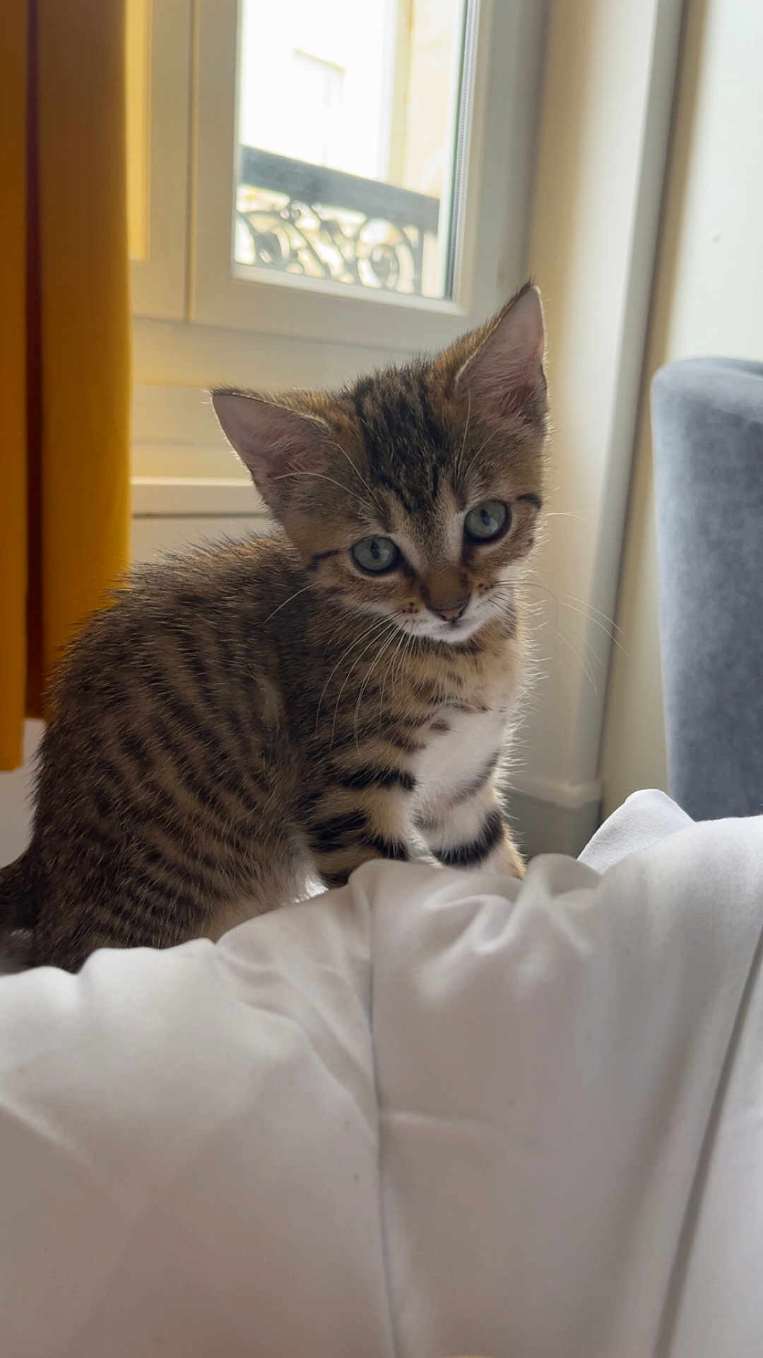 Nala
