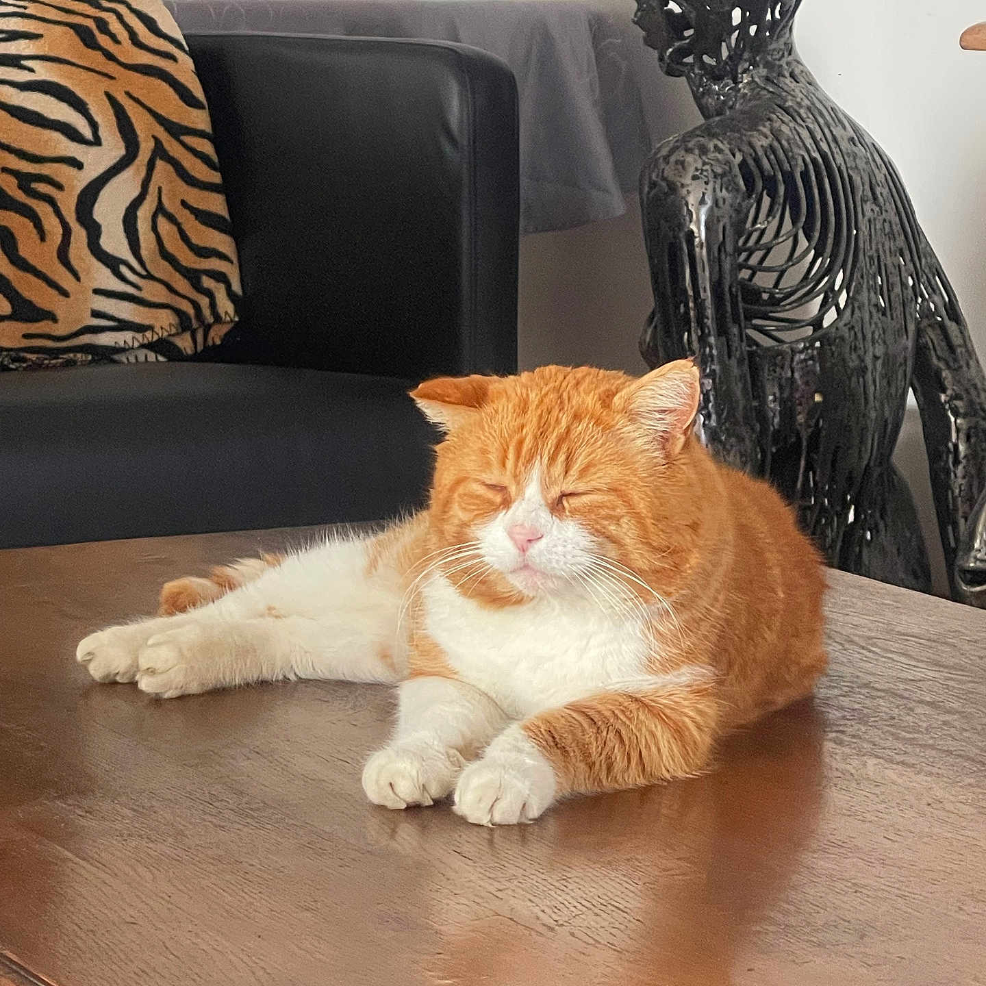 S R participe au concours pour gagner de l'argent avec cette photo : animal, black_couch, black_sculpture, cat, couch, cozy, decor, domestic, furniture, home, indoor, orange_cat, pet, relaxed, resting, sculpture, table, tiger_stripe_pillow, white_cat, wooden_table