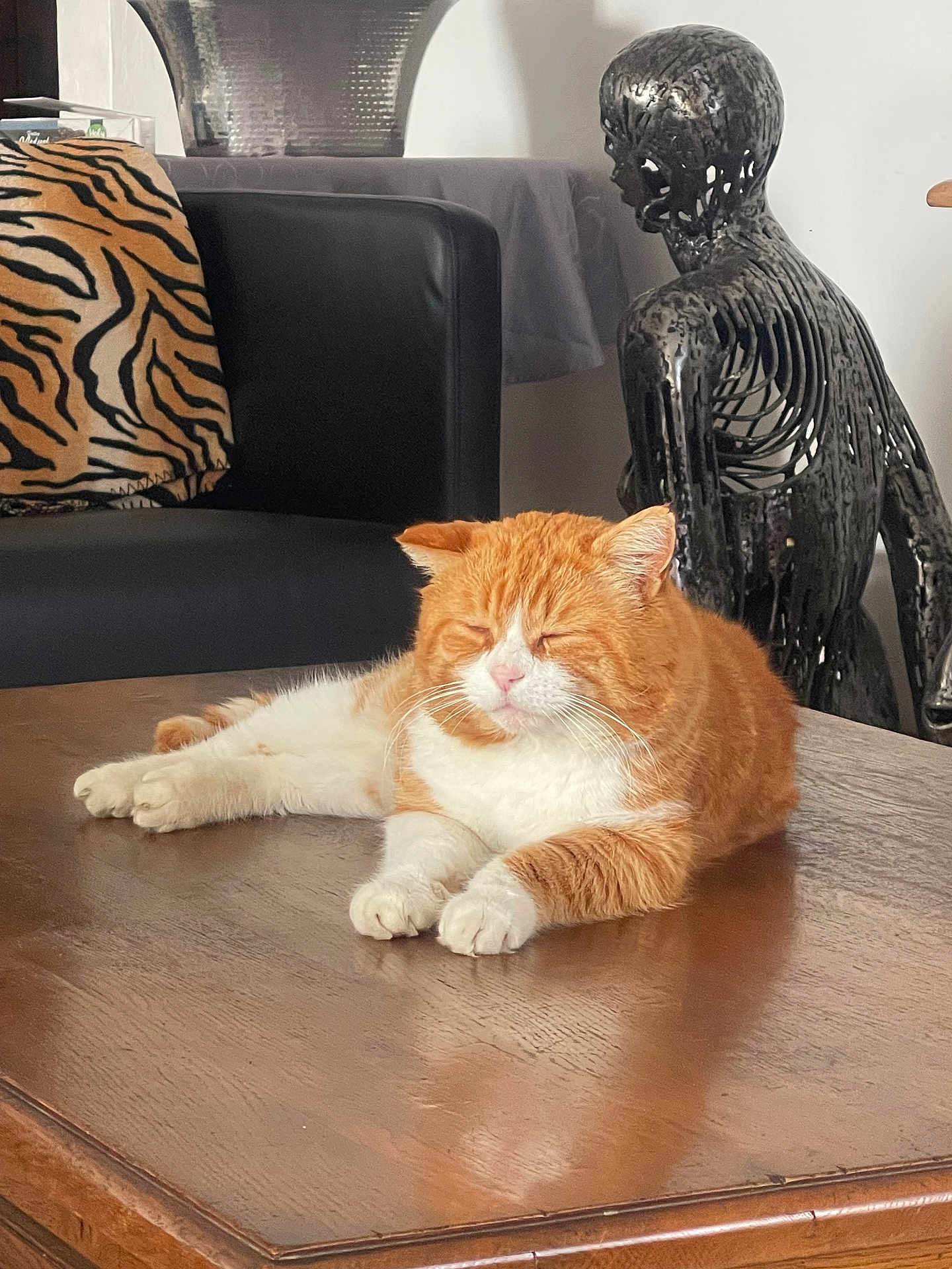 S R participe au concours pour gagner de l'argent avec cette photo : cat, orange_cat, white_cat, table, wooden_table, couch, black_couch, tiger_stripe_pillow, sculpture, black_sculpture, indoor, relaxed, pet, furniture, decor, cozy, resting, animal, domestic, home