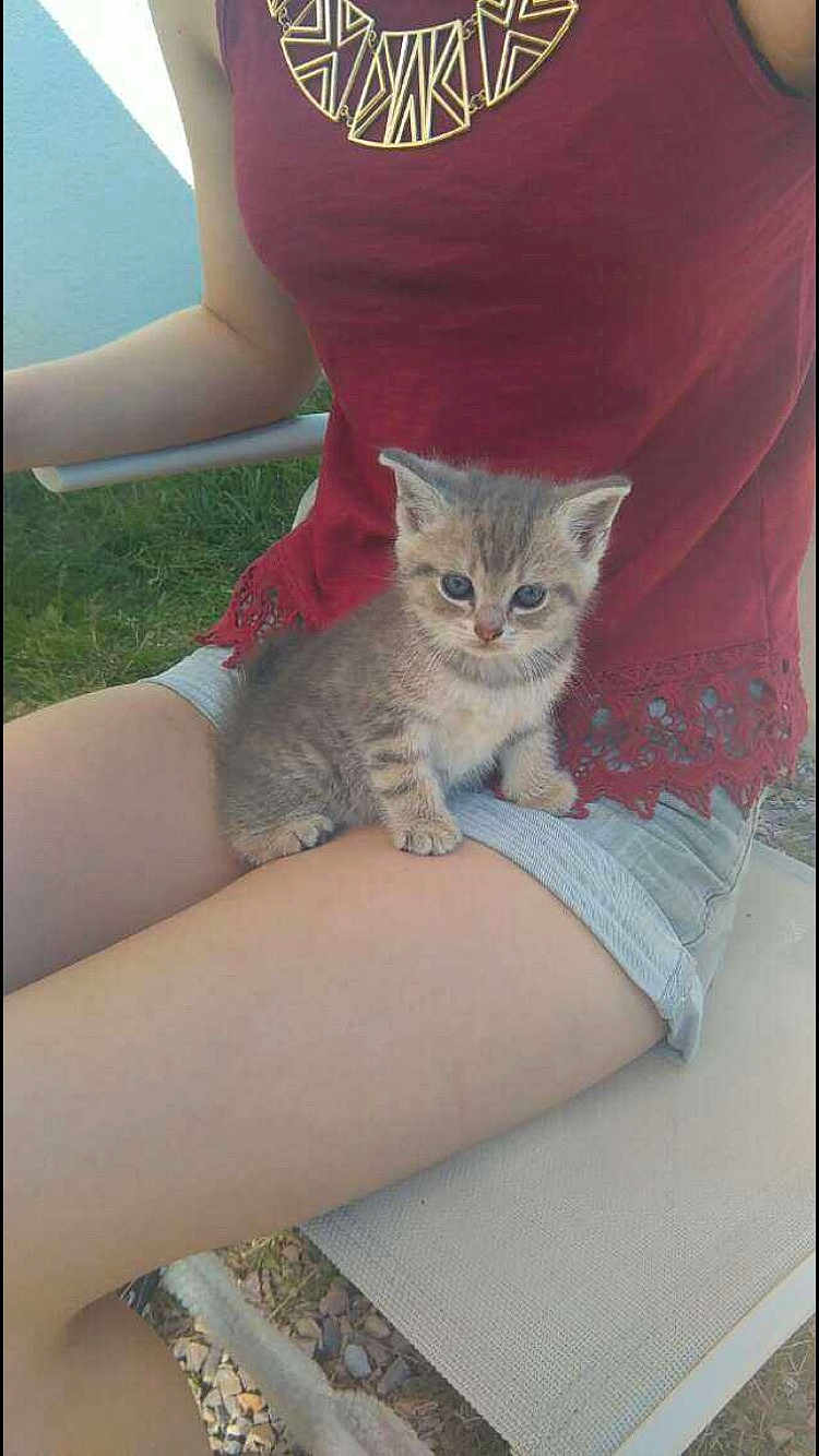 Maya