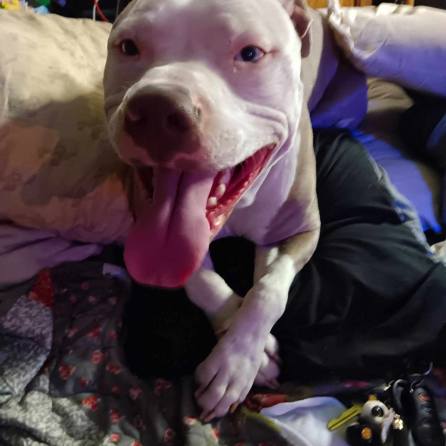Missy