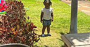 Aaliyah joined the competition — help win amazing prizes! child, grass, sunlight, plants, shadows, sidewalk, cars, tree, pot, bench, outdoor, daylight, smiling, shorts, tshirt, socks, greenery, nature, parked_cars, yard