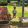 child, grass, sunlight, plants, shadows, sidewalk, cars, tree, pot, bench, outdoor, daylight, smiling, shorts, tshirt, socks, greenery, nature, parked_cars, yard