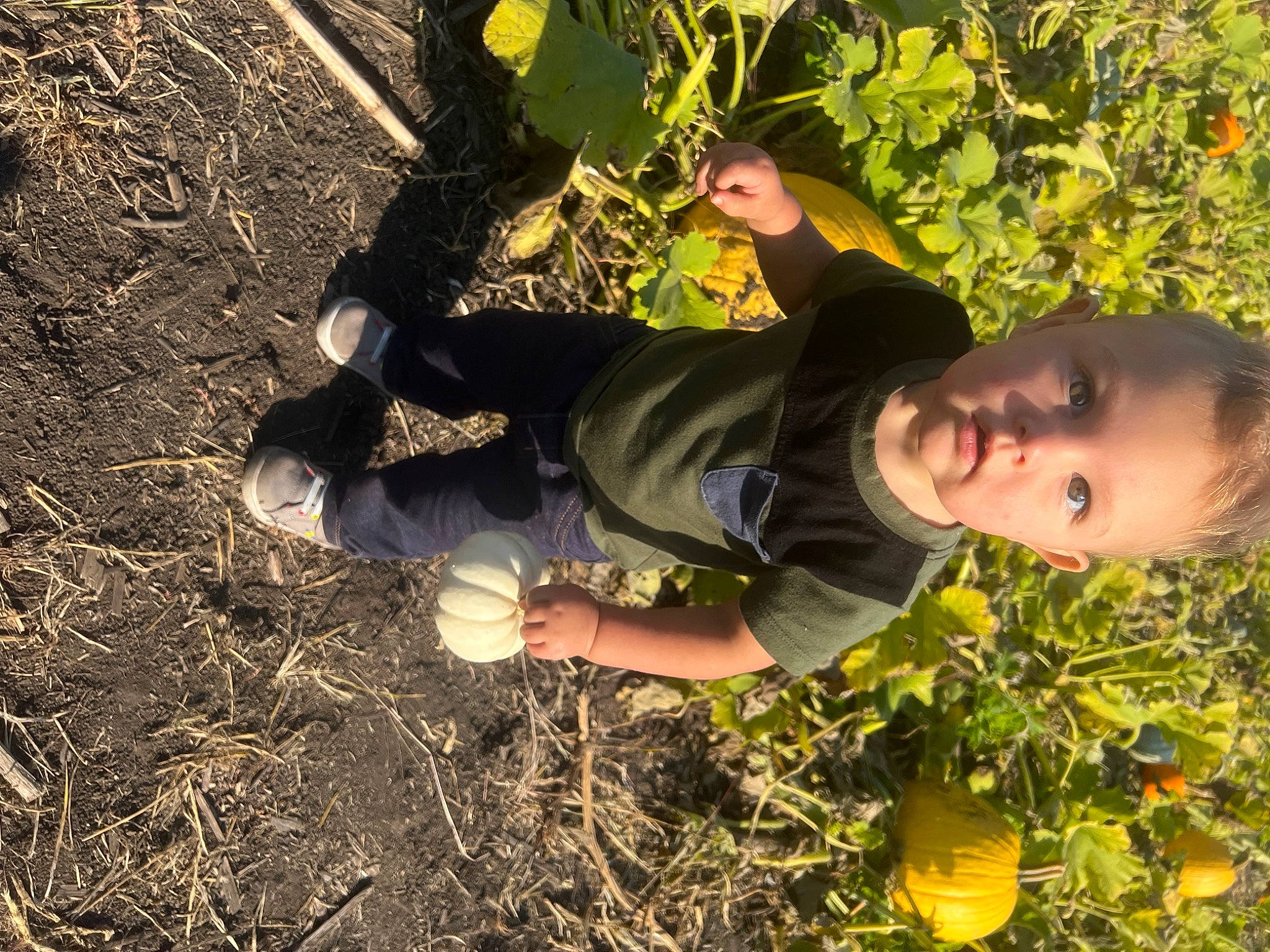 Bridger joined the competition — help win amazing prizes! farmworker, fun, gardening, grass, grassland, happy, people_in_nature, person, plant, shadow, shrub, sitting, soil, yellow